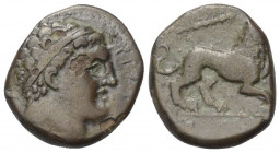 Sizilien. Syrakus. 4. Demokratie (289 - 287 v. Chr.).

 Bronze.
Vs: Kopf des Herakles mit Tainia rechts.
Rs: Löwe nach rechts schreitend, darüber ...