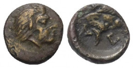 Taurischer Chersones. Pantikapaion.

 Bronze. Ca. 310 - 304 v. Chr.
Vs: Kopf eines jugendlichen Satyrn rechts.
Rs: Stierkopf links.

11 mm. 0,87...