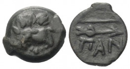 Taurischer Chersones. Pantikapaion.

 Bronze. Ca. 304 - 250 v. Chr.
Vs: Kopf eines jugendlichen Satyrn mit Efeukranz links.
Rs: Bogen über Pfeil....