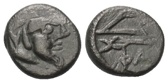 Taurischer Chersones. Phanagoreia.

 Bronze. Ca. 140 - 109 v. Chr.
Vs: Kopf e...