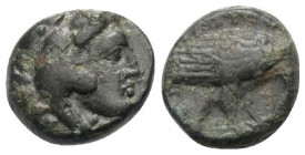Königreich Makedonien. Amyntas III. (393 - 369 v. Chr.).

 Bronze. Aigai oder Pella.
Vs: Kopf des jugendlichen Herakles mit Löwenfell rechts.
Rs: ...