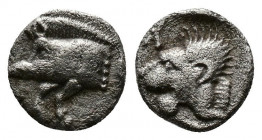 Hemibol AR
Mysia, Kysikos, c. 480 BC, Forepart of a boar to the left tunny fish / Head of lion
8 mm, 0,35 g