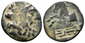Bronze AE
Pisiadia, Termessos, 1st century BC
18 mm, 3,80 g
