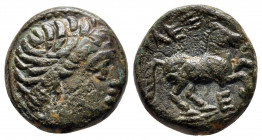 Bronze AE
Macedon, uncertain mint, Alexander III "the Great" (336-323 BC)