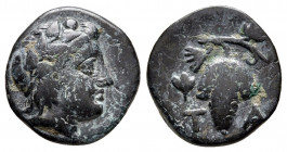 Bronze AE
Aiolis, Temnos, c. 300-200 BC
14 mm, 2 g