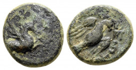 Bronze AE
Caria, Alabanda, 2nd-1st century BC
13 mm, 2 g