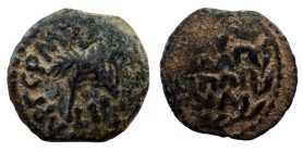 Prutah Æ
Judaea, 52-59, Procurator Antoninus Felix, Crossed palms, date below
Meshorer 342; Hendin 1347