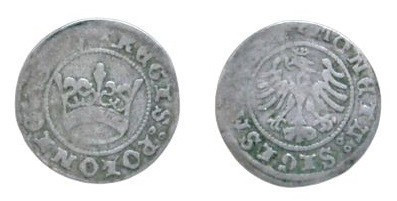 ½ Groat AR
Kingdom of Poland, 1510