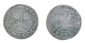 ½ Groat AR
Kingdom of Poland, 1510