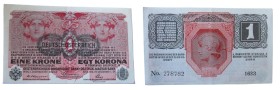 1 Krone, Austria-Hungary, 1916