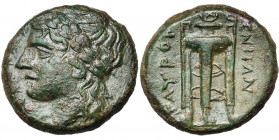 SICILE, TAUROMENION, AE bronze, 315-212 av. J.-C. D/ APXAΓETAΣ T. l. d''Apollon à g. R/ TAYPOM-ENITAN Trépied. SNG ANS 1126-1128; Calciati 16. 5,89g L...