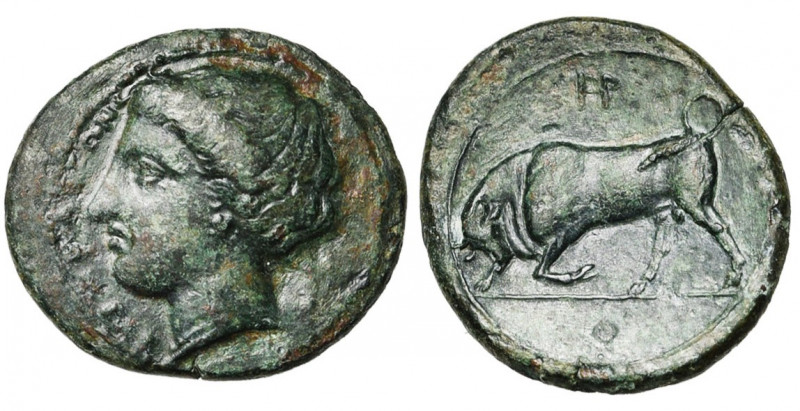 SICILE, SYRACUSE, Agathoclès (317-289), AE bronze. D/ ΣYPAKOΣΙΩN T. d''Aréthuse ...
