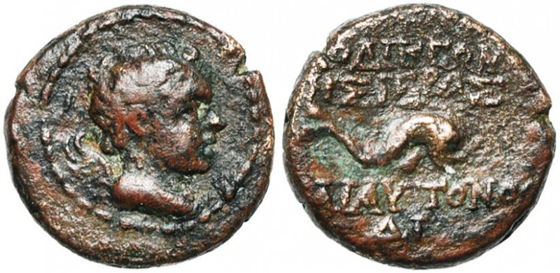 SYRIE, LAODICEE AD MARE, AE bronze, 1e moitié du 1er s. av. J.-C. D/ B. ailé d''...