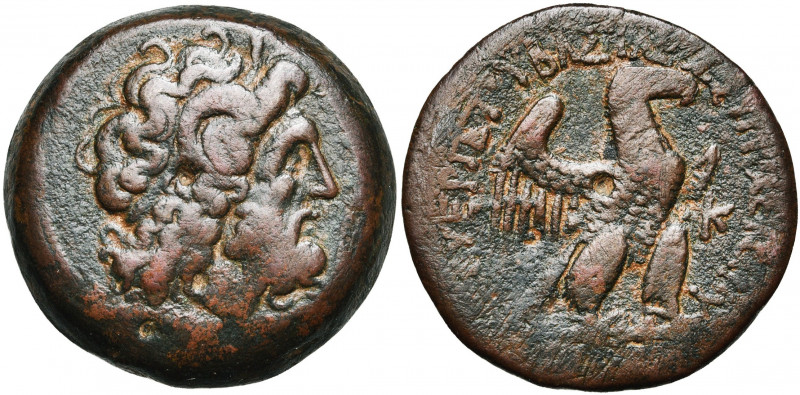 ROYAUME LAGIDE, Ptolémée VIII Evergète II (145-116), AE bronze, Alexandrie. D/ T...