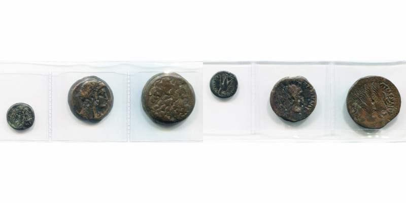 ROYAUME LAGIDE, lot de 3 bronzes: Ptolémée III Evergète, dichalque, T. de Zeus/A...