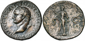 TITUS Auguste (79-81), AE sesterce, 80-81, Rome. D/ IMP TITVS CAES VESP AVG P M TR P P P COS VIII T. l. à g. R/ S-C Spes marchant à g., ten. une fleur...