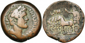 EGYPTE, ALEXANDRIE, Antonin le Pieux (138-161), AE drachme, 154-155. D/ T. l. à d. R/ Sarapis dans un quadrige au pas à g., la main d. levée, ten. un ...