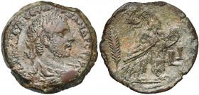 EGYPTE, ALEXANDRIE, Sévère Alexandre Auguste (222-235), AE drachme, 230-231. D/ B. l., dr., cuir. à d. R/ Aigle à d., t. à g., ten. une couronne dans ...