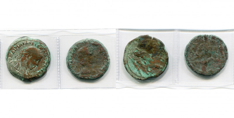 EGYPTE, ALEXANDRIE, lot de 2 drachmes: Sévère Alexandre, an 10, R/ Tyché deb. à ...