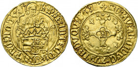 BRABANT, Duché, Charles Quint (1506-1555), AV demi-florin au saint Philippe, s.d. (1507-1520), Anvers. E Latins. D/ Saint Philippe deb. de f., ten. de...