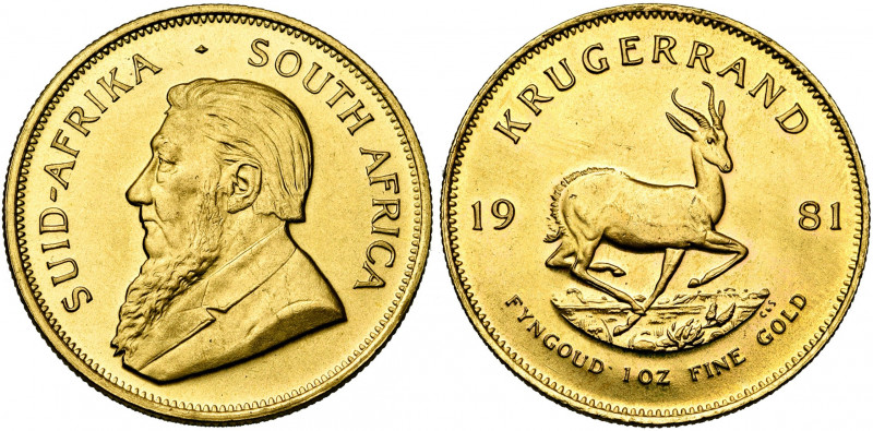 AFRIQUE DU SUD, République (1960-), AV Krugerrand, 1981.
Superbe