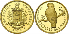 VENEZUELA, République (1821-), AV 1000 bolivares, 1975. Coq-de-roche (cock of the rock). Fr. 8. 483 p. frappées.
Flan poli