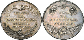 PAYS-BAS MERIDIONAUX, AR médaille, s.d. (1791), Th. van Berckel (non signée). Tranquillité rétablie dans les Pays-Bas autrichiens. D/ Sous une foi, FI...