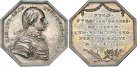 PAYS-BAS MERIDIONAUX, AR jeton, 1793, Th. van Berckel. Etrennes pour 1794 - Victoire autrichienne sur les Français à Neerwinden. D/ B. cuir. de l''arc...