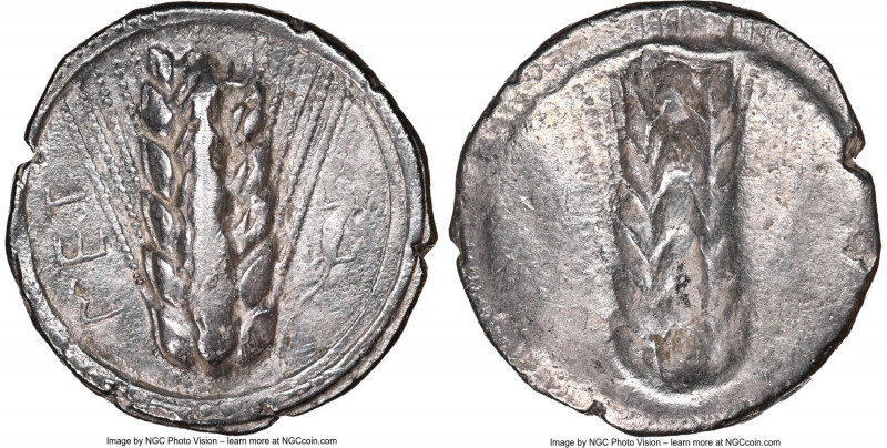 LUCANIA. Metapontum. Ca. 510-470 BC. AR stater (22mm, 7.52 gm, 11h). NGC Choice ...