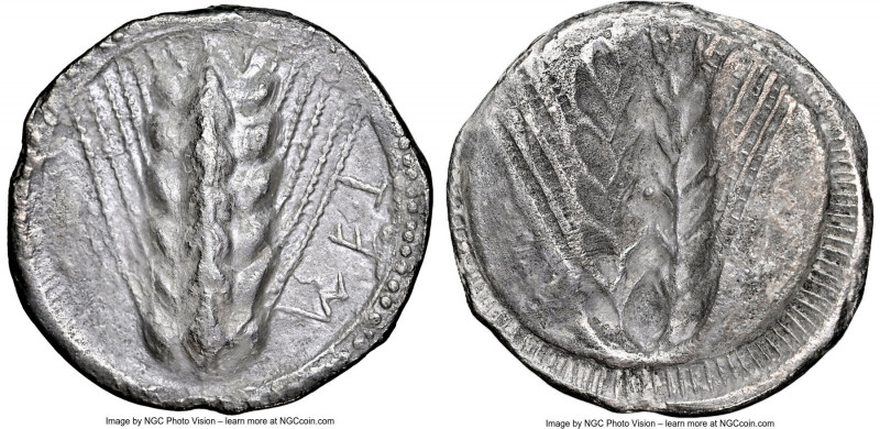 LUCANIA. Metapontum. Ca. 510-470 BC. AR stater (24mm, 6.43 gm, 11h). NGC (photo-...