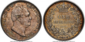 William IV Shilling 1836 AU58 NGC, KM713, S-3835. Argent surfaces peering from beneath a coat of red, gold and turquoise shades of color. 

HID0980124...