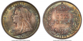 Victoria 6 Pence 1895 MS64+ PCGS, KM779, S-3941. Toned in shades of Rose-gray, turquoise and gold yielding splendid eye appeal. 

HID09801242017

© 20...
