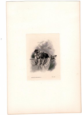 United States of Amerika, proof vignette, RARE