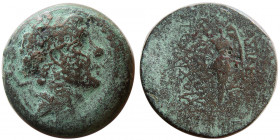 SELEUKID KINGS. Antiochos III  'the Great'. 223-187 BC. Æ. RRR.