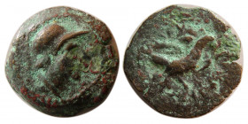 ELYMAIAN KINGS, Tigraios. Usurper, 138-132 BC. Æ chalkous. Very rare.