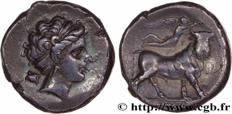 CAMPANIA - NEAPOLIS
Type : Nomos ou didrachme 
Date : c. 326/317 - 290 AC. 
Mint...