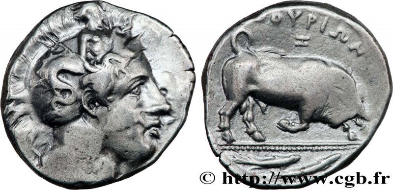 LUCANIA - THOURIOI
Type : Dinomos, di-statère ou tétradrachme 
Date : c. 400-350...