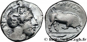 LUCANIA - THOURIOI
Type : Dinomos, di-statère ou tétradrachme 
Date : c. 400-350 AC. 
Mint name / Town : Thurium, Lucanie 
Metal : silver 
Diameter : ...