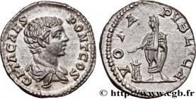 GETA
Type : Denier 
Date : 205 
Mint name / Town : Rome 
Metal : silver 
Millesimal fineness : 550  ‰
Diameter : 17,5  mm
Orientation dies : 1  h.
Wei...