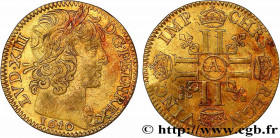 LOUIS XIII
Type : Essai du demi-louis d'or 
Date : 1640 
Mint name / Town : Paris, Monnaie du Louvre 
Metal : gold 
Millesimal fineness : 917  ‰
Diame...