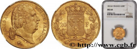 LOUIS XVIII
Type : 20 francs or Louis XVIII, tête nue 
Date : 1816 
Mint name / Town : Paris 
Quantity minted : 167525 
Metal : gold 
Millesimal finen...