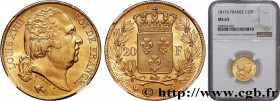 LOUIS XVIII
Type : 20 francs or Louis XVIII, tête nue 
Date : 1817 
Mint name / Town : Paris 
Quantity minted : 2.133.071 
Metal : gold 
Diameter : 21...