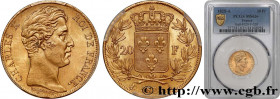 CHARLES X
Type : 20 francs or Charles X 
Date : 1825 
Mint name / Town : Paris 
Quantity minted : 663764 
Metal : gold 
Millesimal fineness : 900  ‰
D...