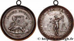 THE CONVENTION
Type : Médaille de Palloy, Liberté conquise 
Date : 1789 
Metal : iron 
Diameter : 48,5  mm
Weight : 40,47  g.
Edge : lisse + “9896.” 
...