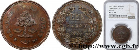 SOUTH AFRICA
Type : Essai de 1 Penny 
Date : 1874 
Mint name / Town : Bruxelles 
Quantity minted : 100 
Metal : bronze 
Diameter : 30,5  mm
Orientatio...