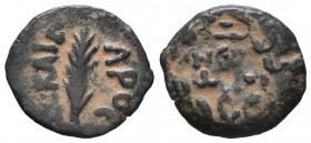 Jerusalem. Procurators. Porcius Festus AD 59-62. Prutah Æ gVF Tareq Hani Collection
2.05 gr