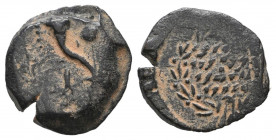 Jerusalem. John Hyrcanus I 135-104 BC. Prutah Æ VF Tareq Hani Collection
1.96 gr