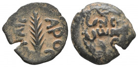 Jerusalem. Procurators. Porcius Festus AD 59-62. Prutah Æ gVF Tareq Hani Collection
1.66 gr
