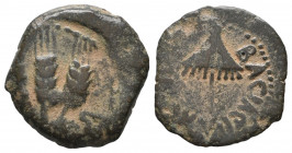 Jerusalem. Herodians. Agrippa I AD 37-43. Prutah Æ VF Tareq Hani Collection
2.41 gr