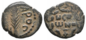 Jerusalem. Procurators. Porcius Festus AD 59-62. Prutah Æ VF Tareq Hani Collection
1.74 gr